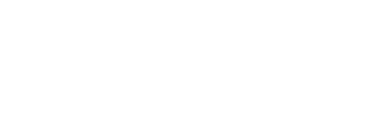 Rallycar